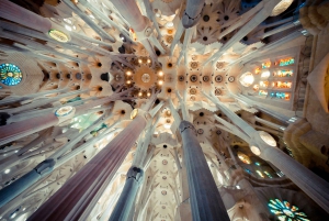 Barcelona: Guidad tur i Sagrada Familia med biljetter