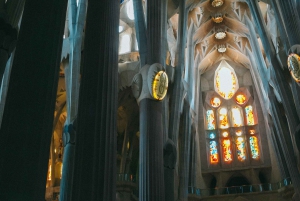 Barcelona: Guidad tur i Sagrada Familia med biljetter