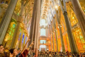 Barcelona: Sagrada Familia Guided Tour with Tower Access