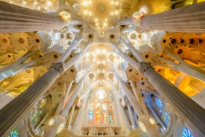 Barcelona: Sagrada Familia Tour & Optional Tower Visit