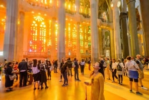 Barcellona: Tour della Sagrada Familia e visita facoltativa della torre