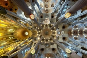 Barcelona: Sagrada Familia Guided Tour with Towers Access