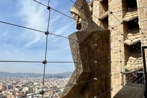 Barcelona: Sagrada Familia Guided Tour with Towers Access