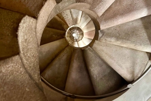 Barcelona: Familia opastettu kierros, jossa on pääsy torneille.