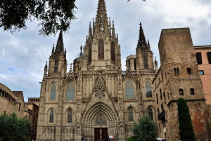 Barcelona & Sagrada Familia Half-Day Tour with Hotel Pickup
