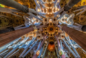Visite d'une demi-journée de Barcelone et de la Sagrada Familia avec prise en charge à l'hôtel