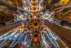 Barcelona y Sagrada Familia Tour de medio día con servicio de recogida del hotel