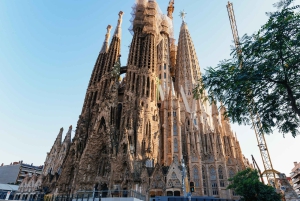 Barcelona: Sagrada Familia lub wycieczka rowerowa lub e-rowerem po mieście