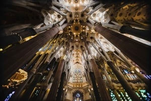Barcelona: Guidet Gaudi-tur til Sagrada, husene og Park Guell