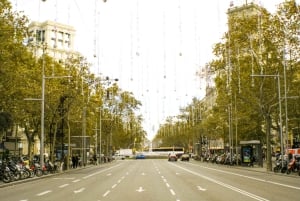 バルセロナ：サグラダファミリア、グエル公園、ゴシック地区ツアーをご案内いたします