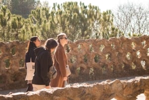 バルセロナ：サグラダファミリア、グエル公園、ゴシック地区ツアーをご案内いたします