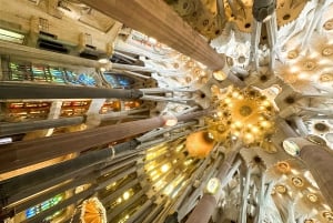 バルセロナ：サグラダファミリア、グエル公園、ゴシック地区ツアーをご案内いたします