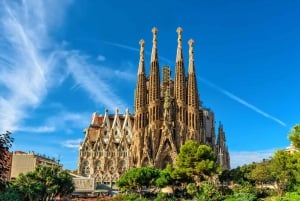 Barcelona: Sagrada Familia & Park Güell Guided Tour & Ticket