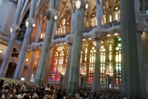 Barcelona: Sagrada Familia Private Tour & Park Guell Tickets