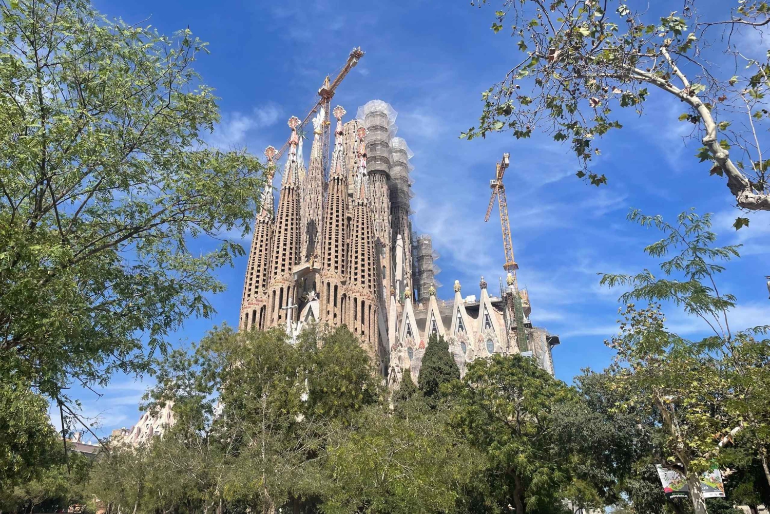 Barcelona: Visita guiada sin hacer cola a la Sagrada Familia