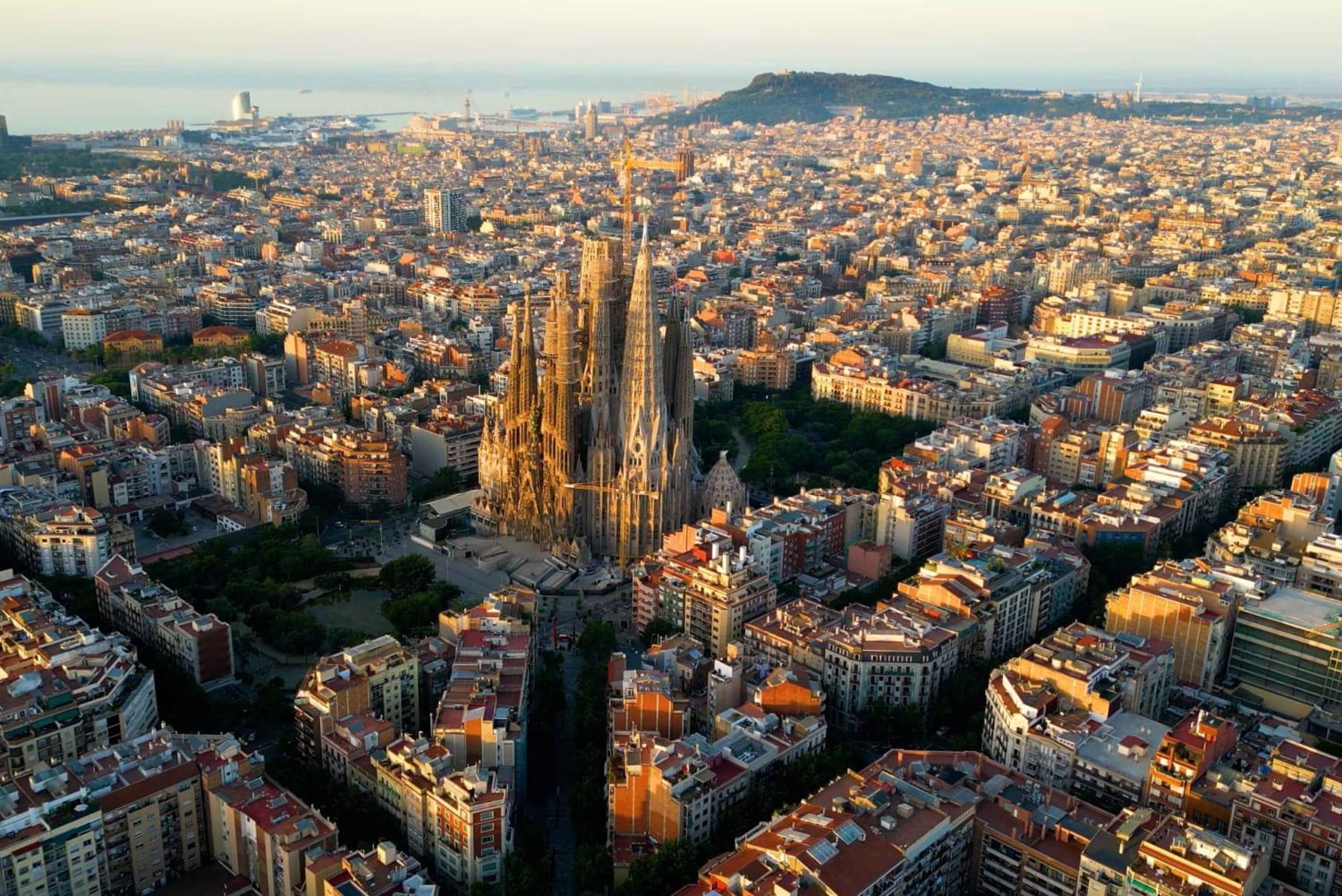 Barcelona: wycieczka z przewodnikiem po Sagrada Familia z ominięciem kolejki