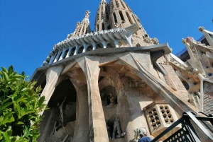 Barcelona: Visita guiada sin hacer cola a la Sagrada Familia