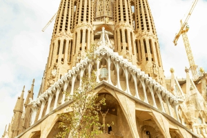 Barcelona: wycieczka z przewodnikiem po Sagrada Familia z ominięciem kolejki