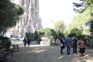 Barcellona: Tour guidato della Sagrada Familia Skip The Line