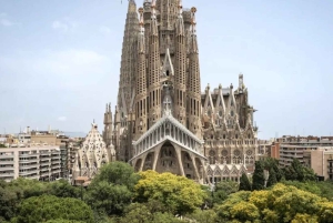 Barcellona: Tour guidato della Sagrada Familia Skip The Line