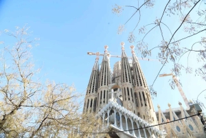 Barcellona: Tour guidato della Sagrada Familia Skip The Line