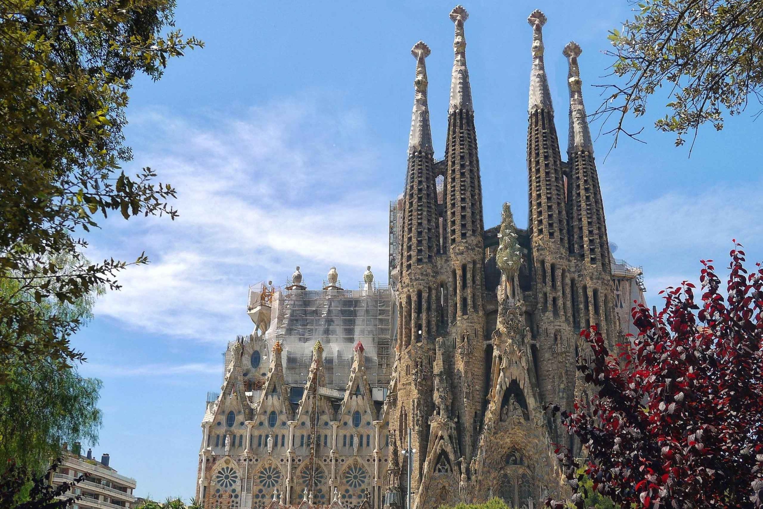 Barcelona: Sagrada Familia Skip-the-line Tour with Guide