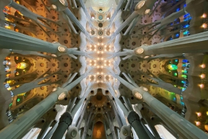 Barcelona: Sagrada Familia Skip-the-line Tour with Guide
