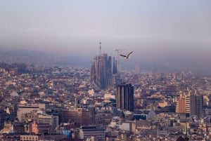 Barcelona: Guidad tur i Sagrada Familia med biljetter