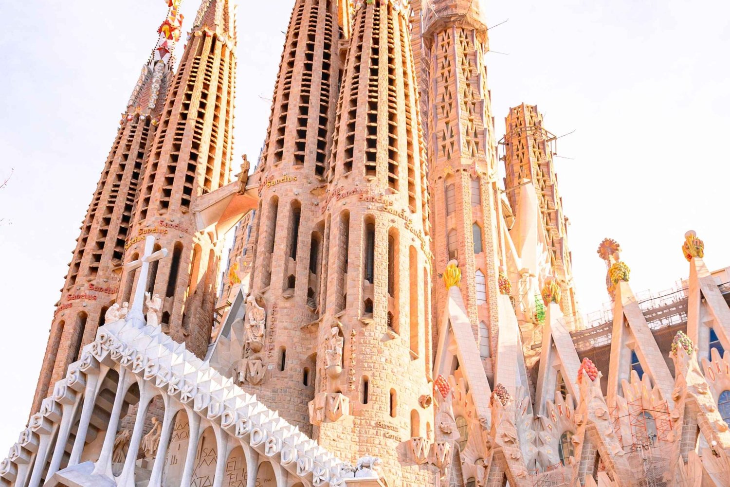 Barcelona: Sagrada Familia-tur og autentisk tapasoplevelse