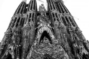 Barcelona: Sagrada Familia Tour with Optional Extras