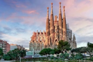 Barcelona: Sagrada Familia-tur m/Skip køen-billet