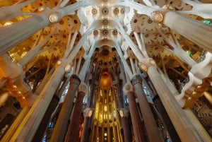 Barcelona: Sagrada Familia-tur m/Skip køen-billet
