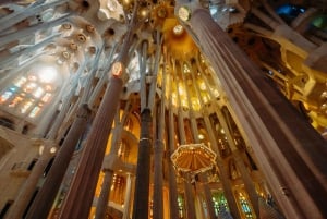 Barcelona: Sagrada Familia-tur m/Skip køen-billet