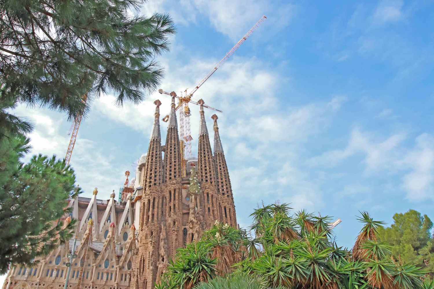 Barcelona: Sagrada Familia Tour with Optional Tower Access