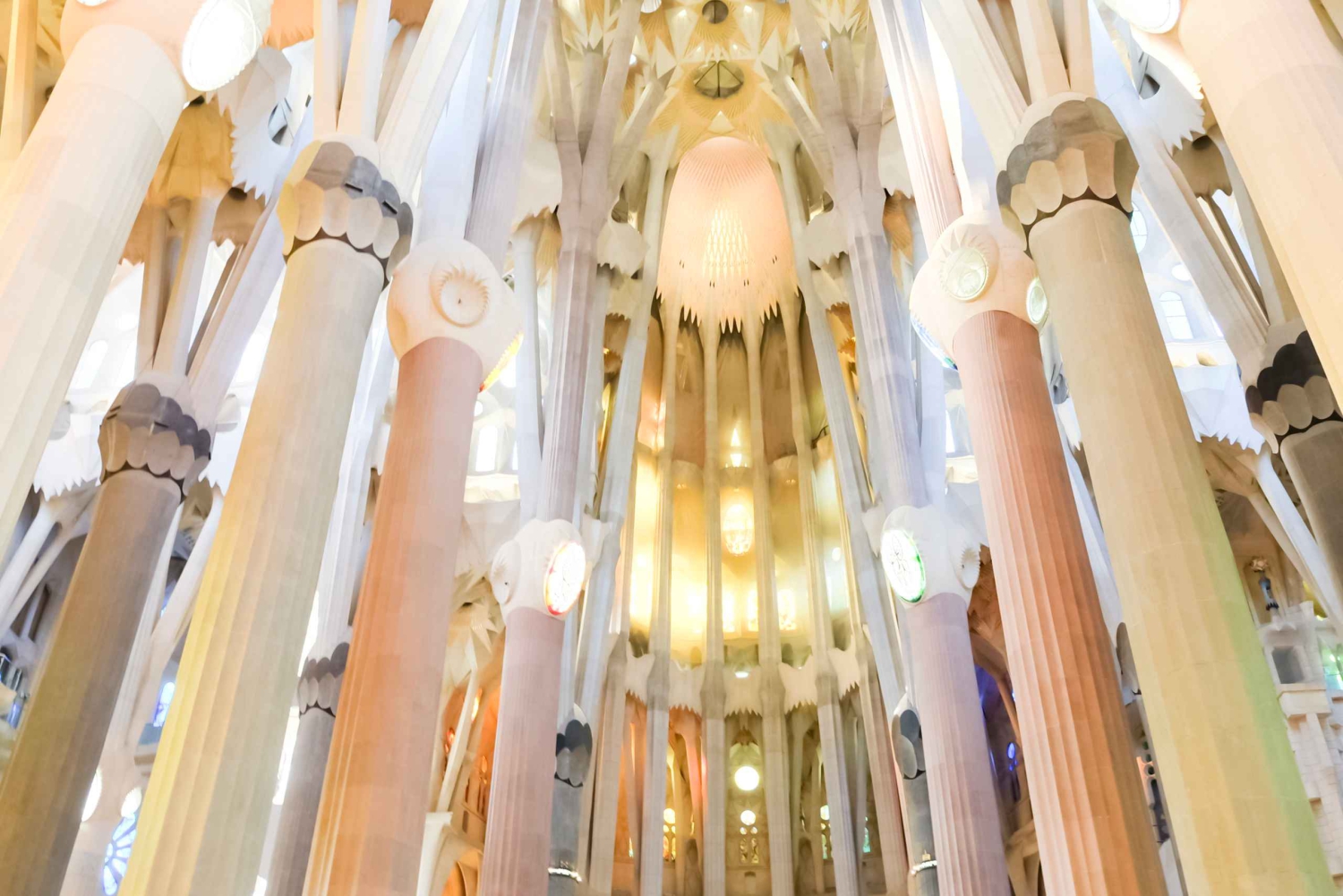 Barcelona: Sagrada Familia Tour with Optional Tower Access