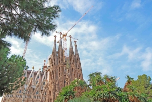 Barcelona: Sagrada Familia Tour with Optional Tower Access