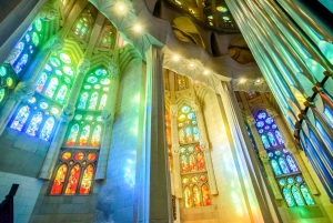 Barcelona: Sagrada Familia Tour with Optional Tower Access