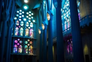 Guidet tur til Sagrada Familia med tilgang til tårnet