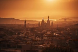 Guidet tur til Sagrada Familia med tilgang til tårnet