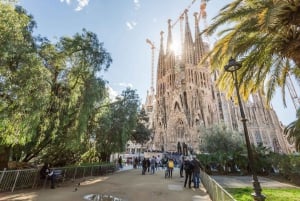 Barcelona: Sagrada Familia -kierros torniin pääsyn vaihtoehdolla