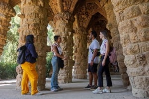 Barcelona: Sagrada Familia with Towers and Park Güell Tour