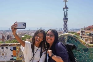 Barcelona: Sagrada Familia with Towers and Park Güell Tour