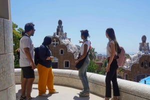 Barcelona: Sagrada Familia with Towers and Park Güell Tour