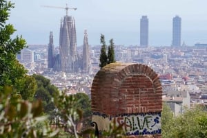 Barcelona: Sagrada Familia with Towers and Park Güell Tour