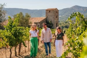 Барселона: парусный круиз и экскурсия по виноградникам с дегустацией вин