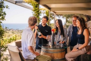 Барселона: парусный круиз и экскурсия по виноградникам с дегустацией вин