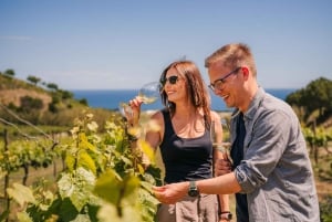 Барселона: парусный круиз и экскурсия по виноградникам с дегустацией вин