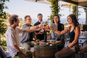 Барселона: парусный круиз и экскурсия по виноградникам с дегустацией вин