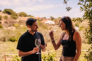 Барселона: парусный круиз и экскурсия по виноградникам с дегустацией вин