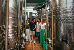 Barcelona: Sailing Cruise & Vineyard Visit with Wine Tasting